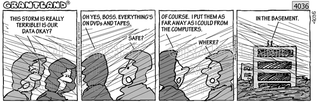 3474,disasters cartoons 4036